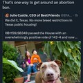 They outlaw abortion? No problem, just get a pit bull!