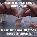 So you are a vegan