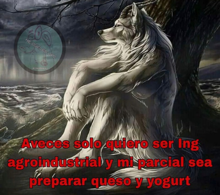 Solo quería ser ingeniero agrónomo y acabar haciendo queso en el parcial - meme