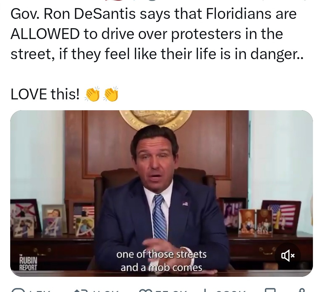 DeSantis just turned GTA rules into Florida law - meme