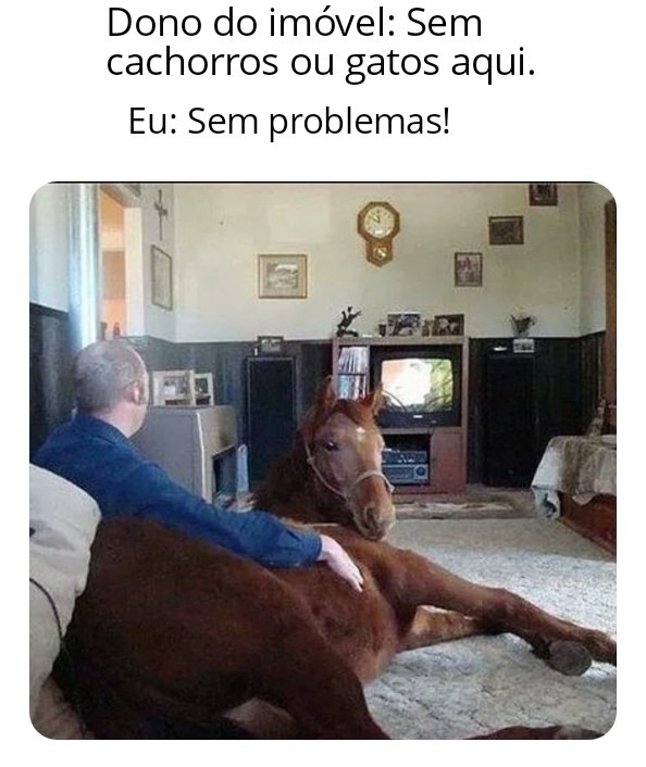 CAVALO! - meme