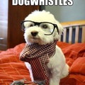 hipster pups