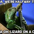 fourth comments a lizard