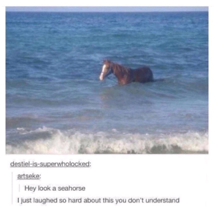 Horse from sea yes - meme