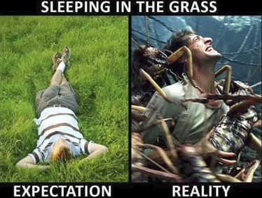 The grass is so itchy and there's bugs - meme