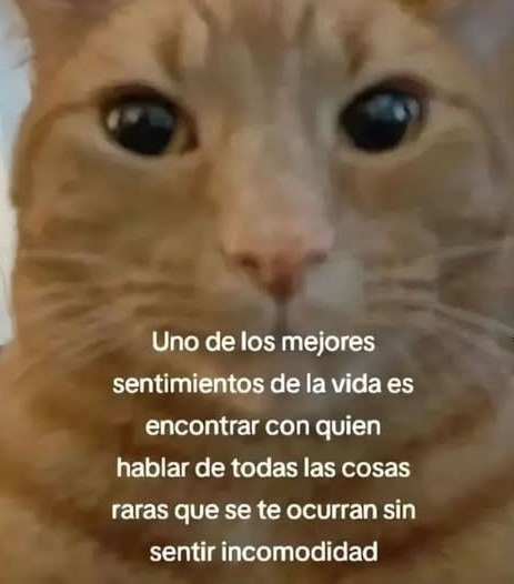Uno de los mejores sentimientos es hablar de lo que sea sin sentirte raro - meme