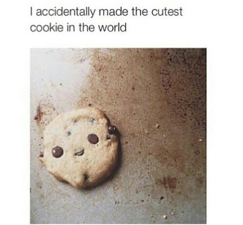 Cookie - meme