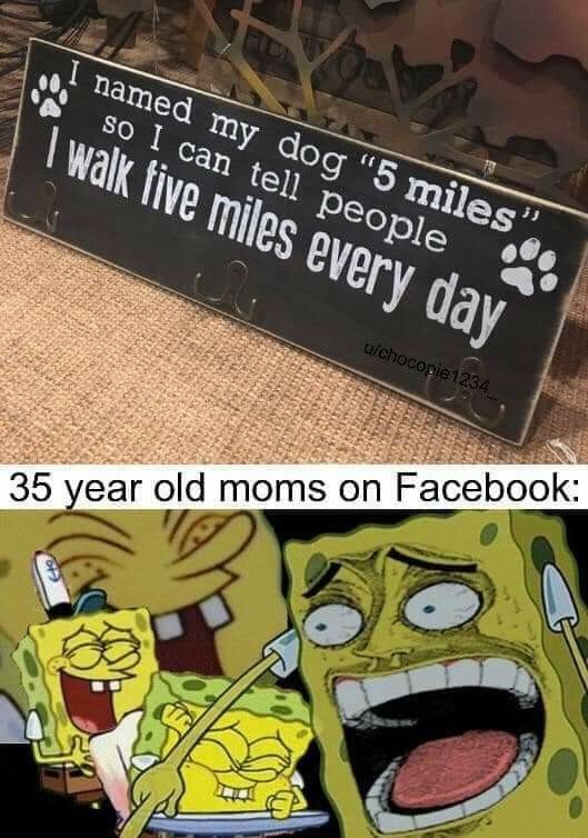 Facebook moms - meme