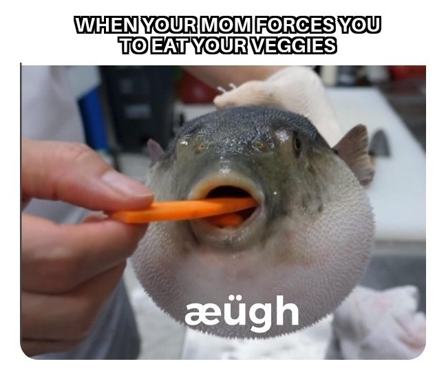 ÆUGH - meme