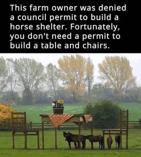 farm owner makes giant table and chairs to cover the animals