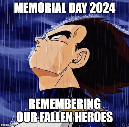 Memorial Day 2024 meme