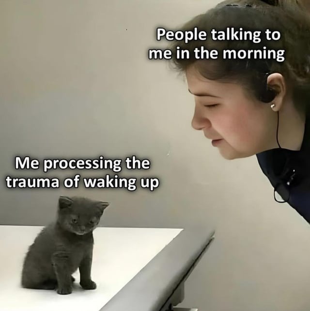 Tuesday morning meme