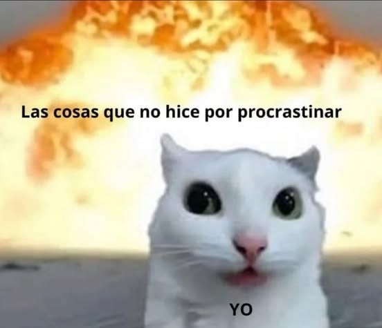 Todas las cosas que dejé de hacer por procrastinar - meme