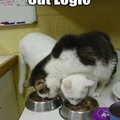 cat logic