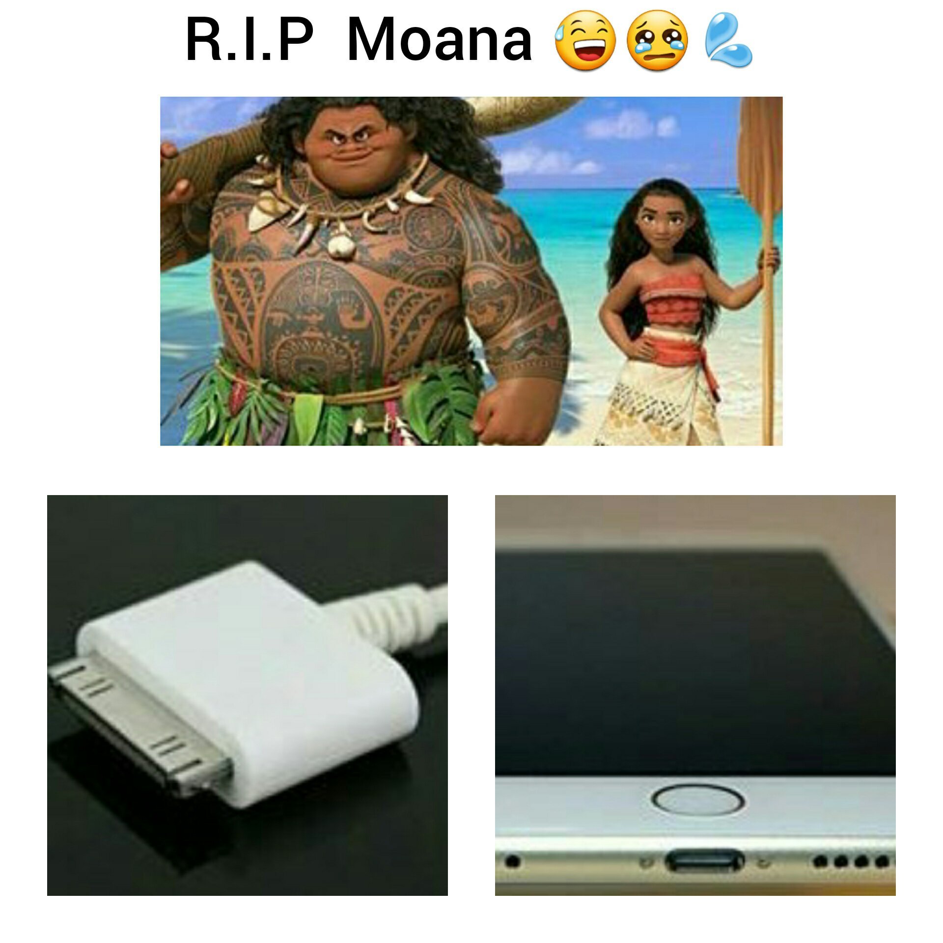 Moana may rest - meme