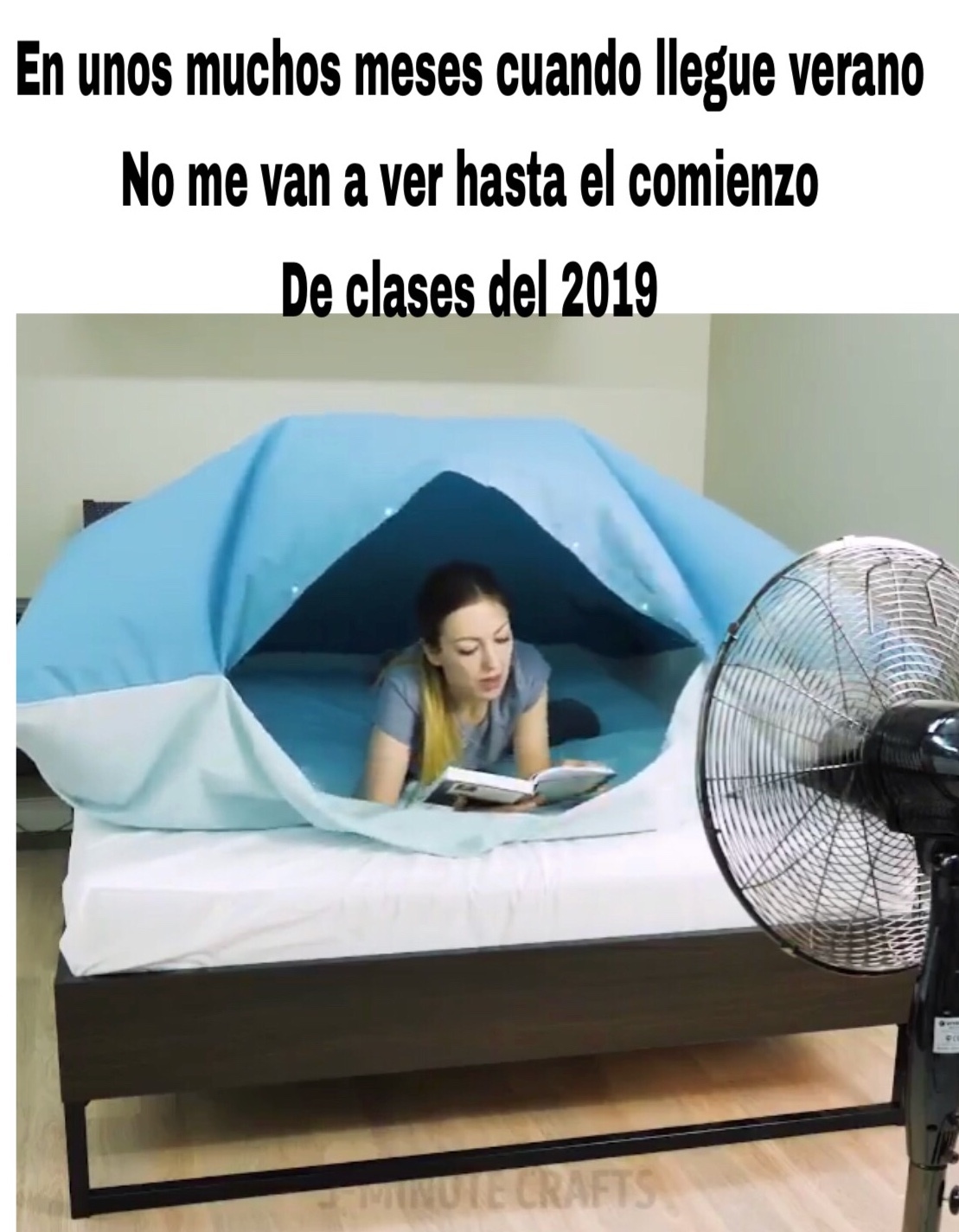 porque no se me ocurrió esta idea antes de que empiece otoño :,( - meme