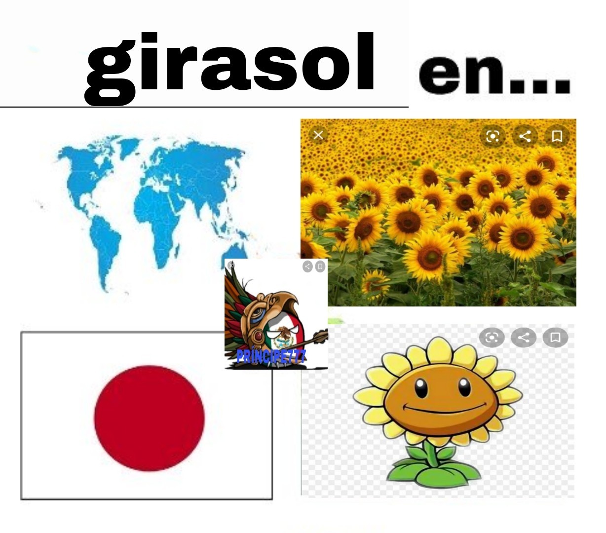 Pone la canción del girasol* - Meme by Principe777 :) Memedroid