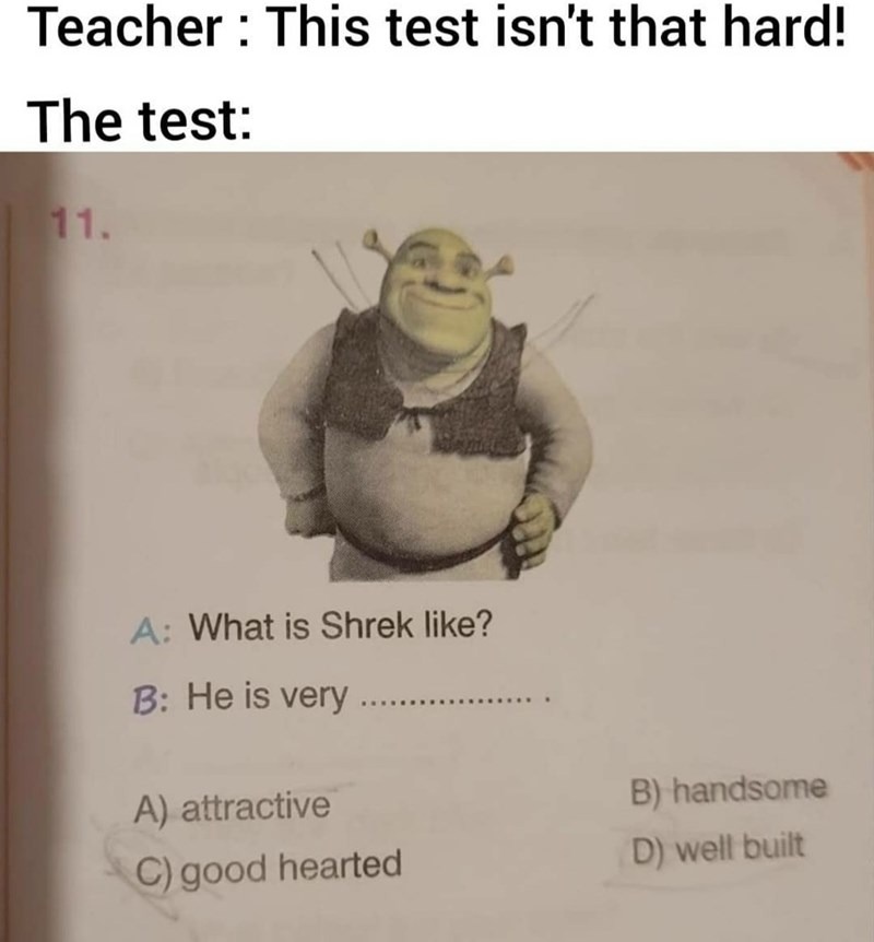 Meme Shrek Face  Memes shrek, Memes, Respuestas de examenes graciosas