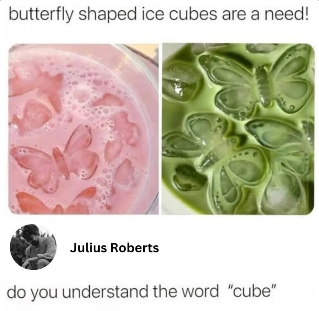 Butterfly ice cubes are cute but that ain't a cube bro - meme