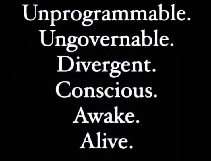 Unprogrammable, ungovernable, and wide awake - meme