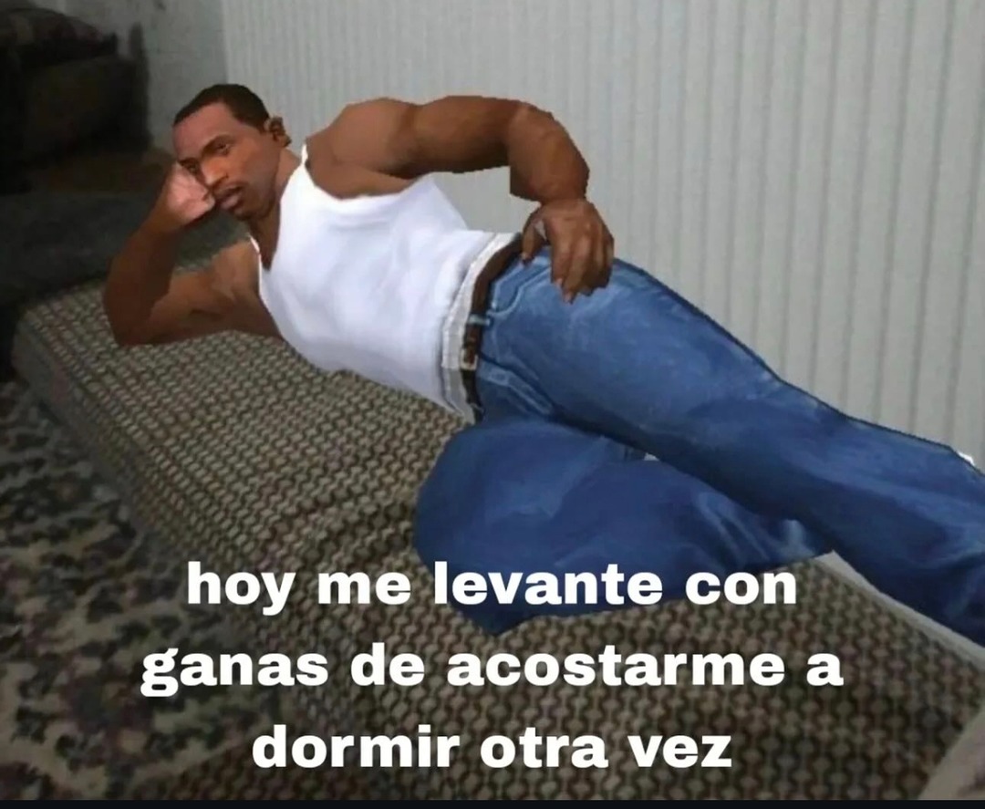 Hoy me desperté con ganas de volver a mimir todo el día - meme