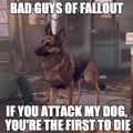 Don't you fucking dare to touch Dogmeat