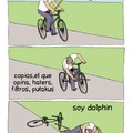 Soy dolphin D':