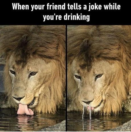 When your friend tells a joke while you are drinking - meme