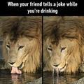 When your friend tells a joke while you are drinking