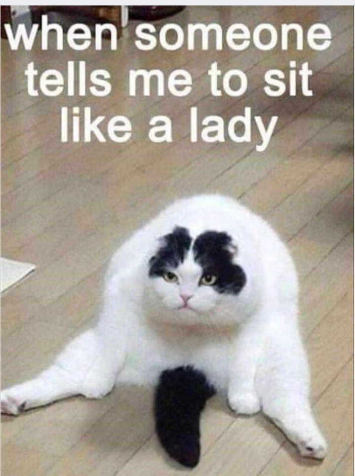 Sit ? - meme