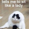 Sit ?