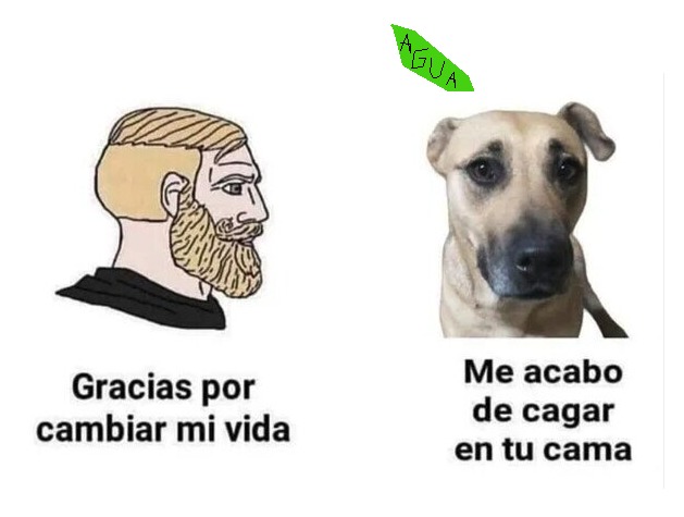 perro=chad,humano=virgin - meme