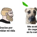 perro=chad,humano=virgin