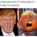 Trumpkins for halloween