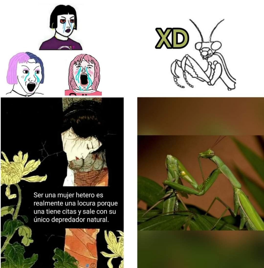 Feministas radicales y fans del temach son Mar1c0nes - meme
