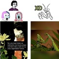 commented item thumbnail