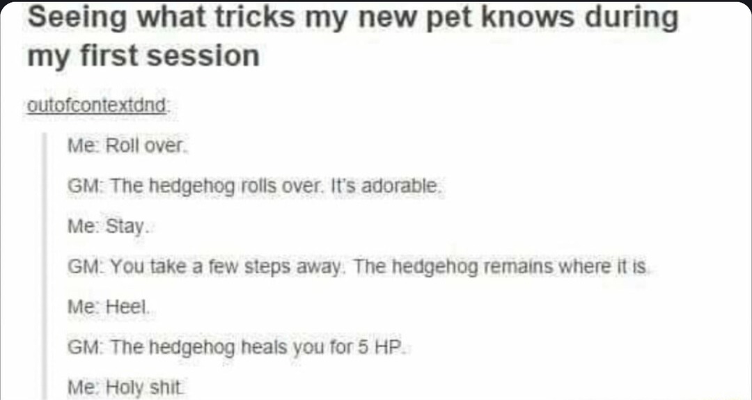 The hedgehog did a roll and then healed me. 10/10 - meme