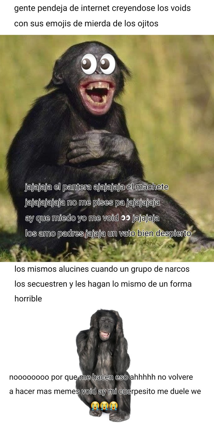 Ay ñu qui midi yi mi void - Meme by Momazos_balls :) Memedroid