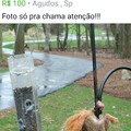 commented item thumbnail