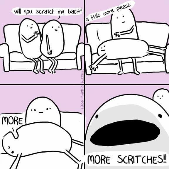 All the scratches! - meme