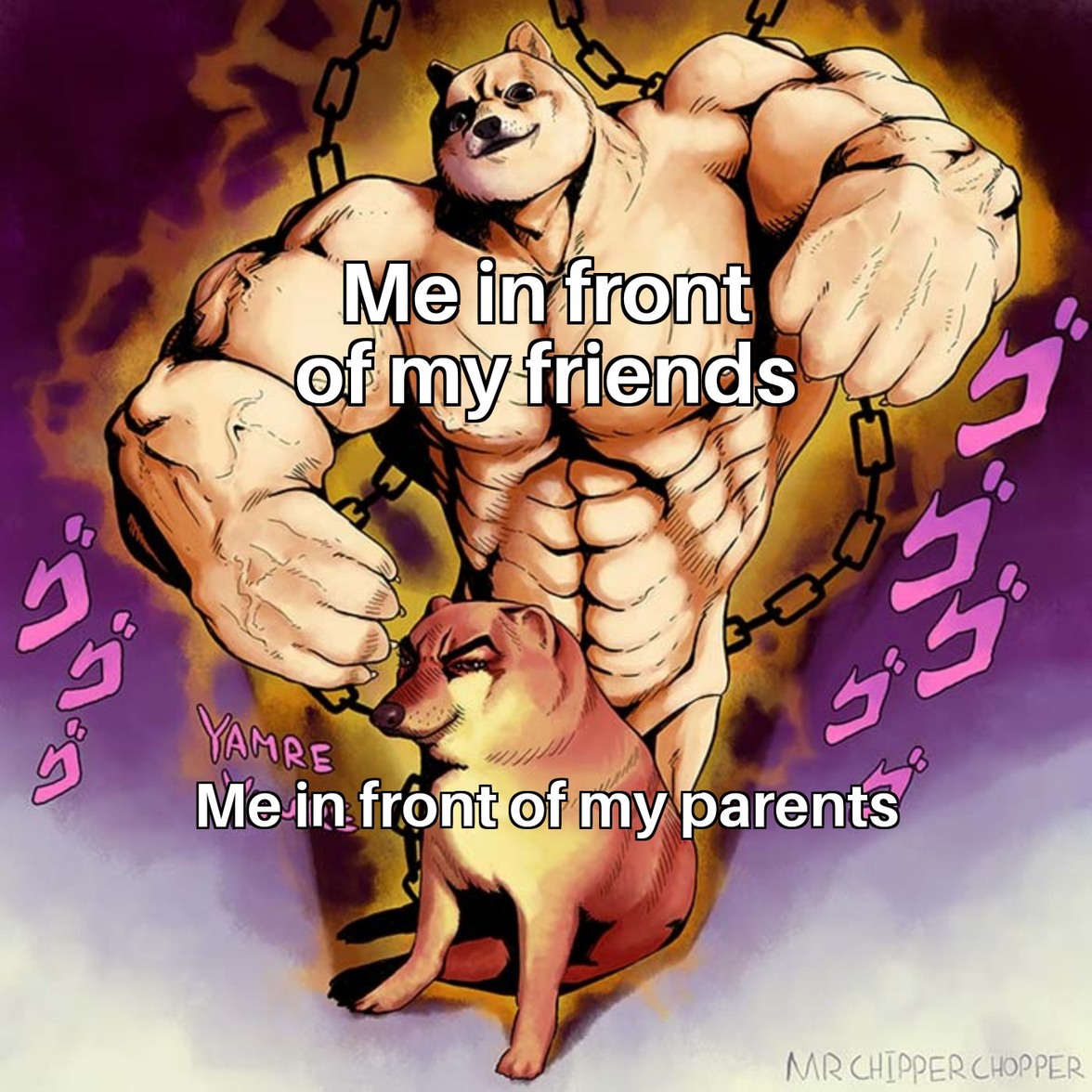 Parents VS Friends - meme