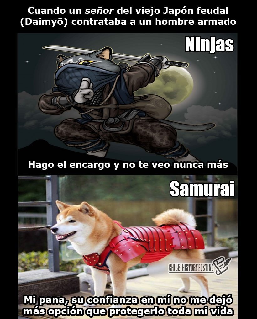 Ninja samurai - meme