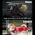 Ninja samurai