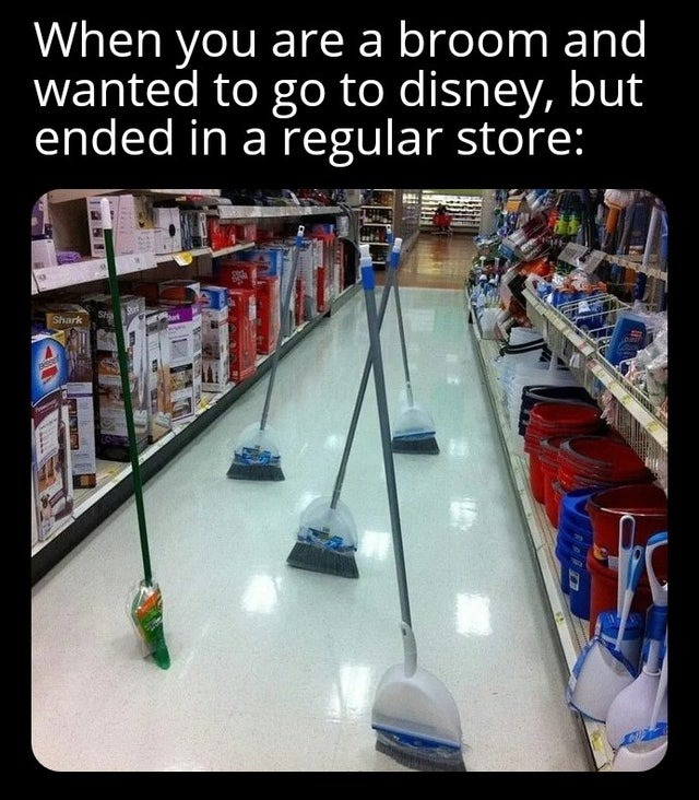 Disney brooms be like - meme