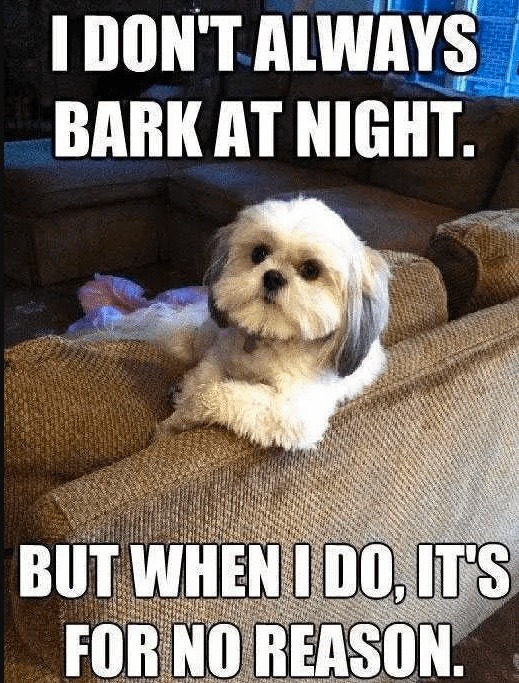 dog barks at night cause the vibes said so - meme