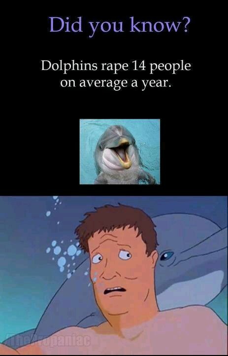 Les dauphins viole 14 personnes par an ._. - meme