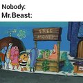 Mr Beast is cool