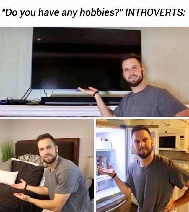 Introvert hobbies - meme