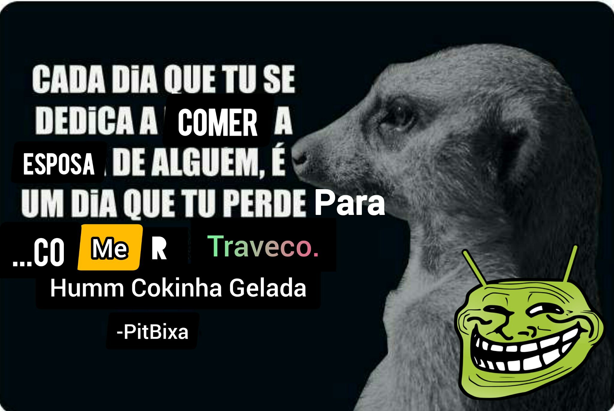 -PitBixa - meme