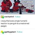Let the penguin science